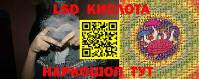 PSILOCYBIN Бугуруслан