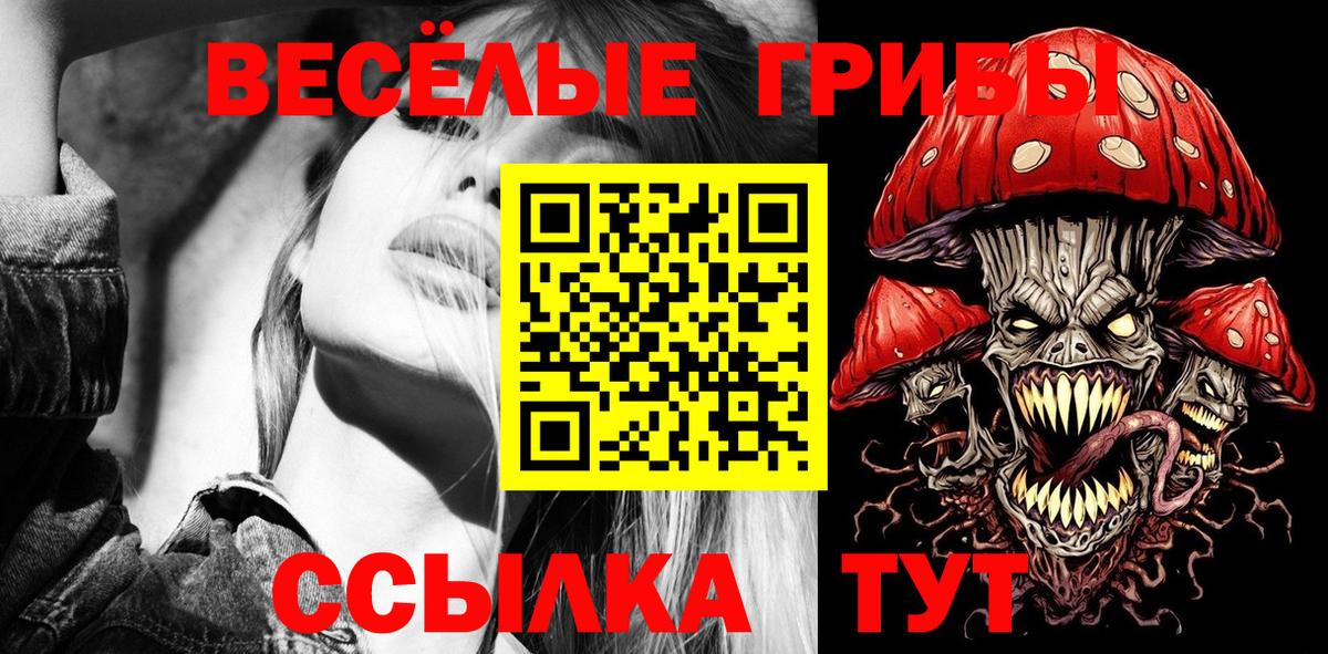 цены   Галлюциногенные грибы Cubensis  Вход с VPN  Нарткала 