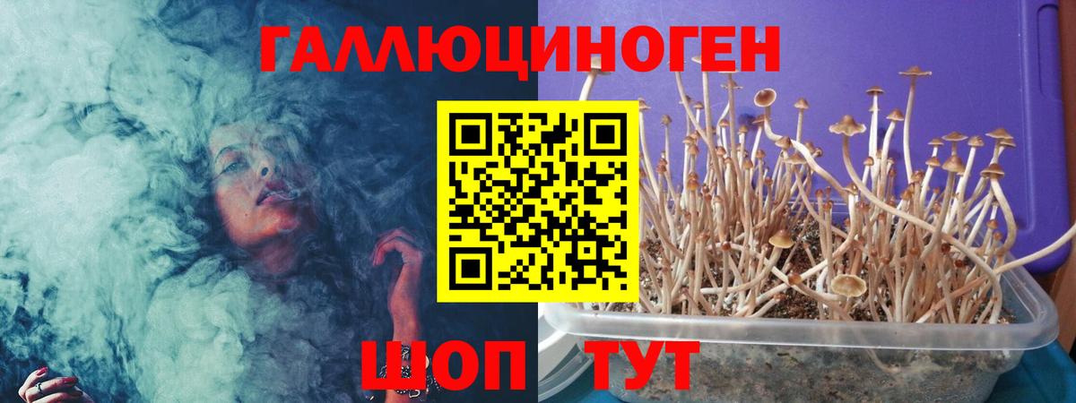Псилоцибиновые грибы Magic Shrooms Нарткала